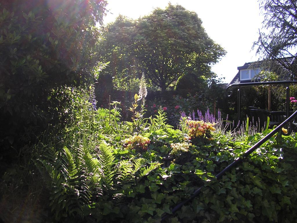Walnut Lodge Bed & Breakfast Noorbeek Luaran gambar